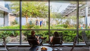 A Building Shaped by Light: Austin Central Library — foto 1