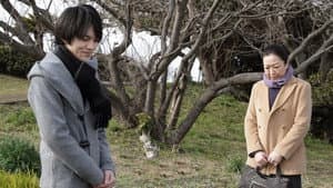 Episodio 10