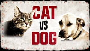 Cat vs. Dog — foto 2
