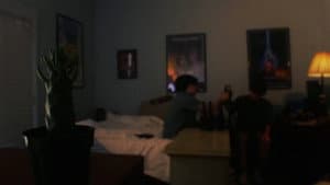 The Cactus — foto 1