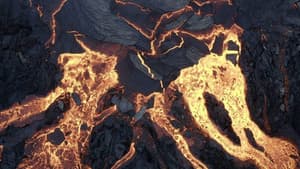 Terre, Les Forces du Vivant — foto 2