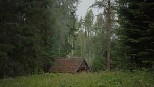 Savvusanna sõsarad — foto 12