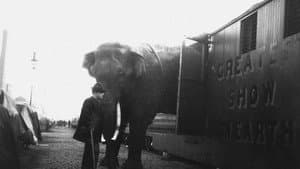 La Tragique Histoire de Fritz l'éléphant — foto 4