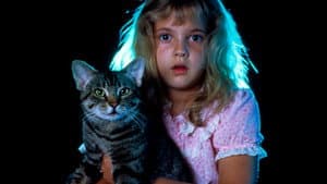 El ojo del gato — foto 5