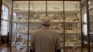 Covid, le secret des origines — foto 4