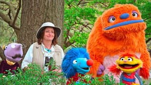 Los Musical Mabels / Barbara, la observadora de pájaros
