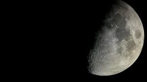 Mensch und Mond — foto 2