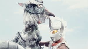 Episodio 24