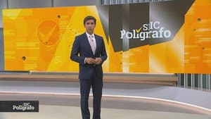 POLIGRAFO — foto 1