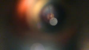 All Light, Everywhere — foto 5