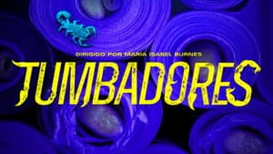 Tumbadores — foto 1