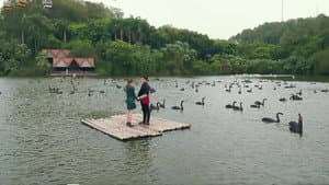 Episodio 8