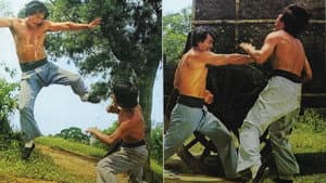 Hu quan — foto 2
