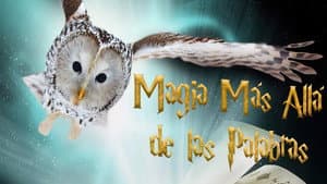Magia más allá de las palabras — foto 4