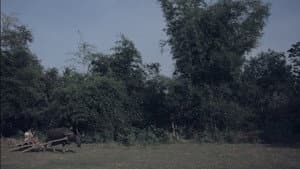 Urihi Nga Luha — foto 1