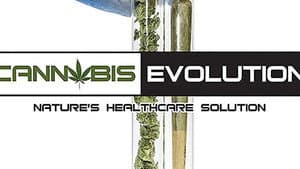 Cannabis Evolution — foto 1
