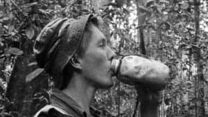 Jungle Green: Borneo — foto 1