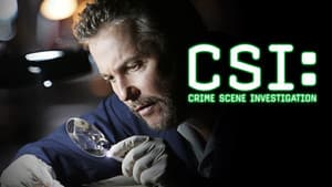 CSI: Las Vegas — foto 5