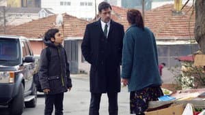 Episodio 15