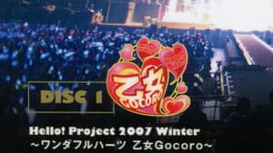 Hello! Project 2007 Winter ～ワンダフルハーツ 乙女Gocoro～ — foto 1