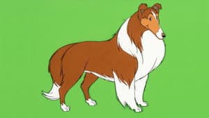 Lassie's Rescue Rangers — foto 1