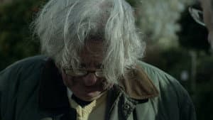 Wolf — foto 2