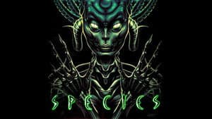 Especies — foto 3