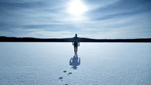 Sunny Boy — foto 2