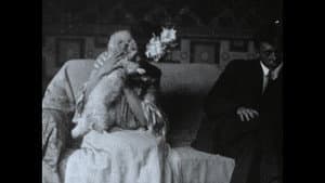 Wonder Dogs! Canine Stars of the Silent Era (1898-1928) — foto 6