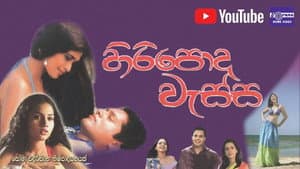 හිරිපොද වැස්ස — foto 1