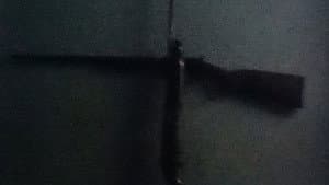 The Leech — foto 3