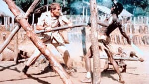Safari Express — foto 3