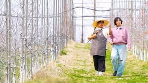 힙&힐링 여행 예쁜 추억 산더미 — foto 1