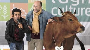 No se metan con mi vaca — foto 5