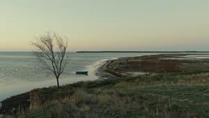 Evge — foto 1
