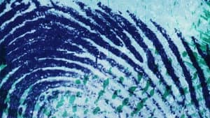 It Has Me By The Throat And I Am The Fingerprint — foto 1
