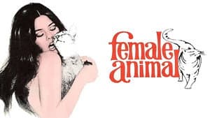 Female Animal — foto 1