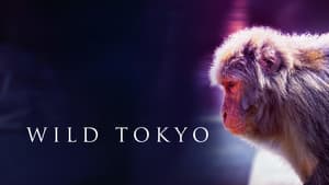 Wild Tokyo — foto 2