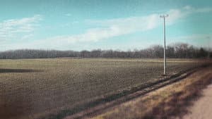 Lófej — foto 1