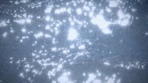 Microcosmos — foto 1