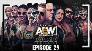 Episodio 29