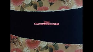 Chá — foto 2