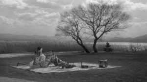 Cuentos de la Luna Pálida — foto 1