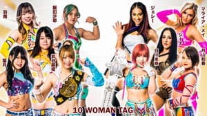 Last Jumbo Princess ひめか引退セレモニー — foto 5