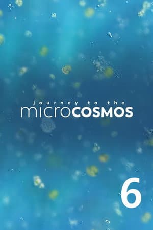 Temporada 6