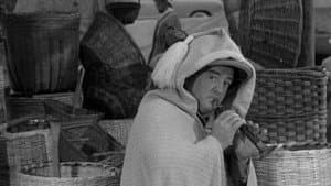Abbott y Costello contra la momia — foto 7
