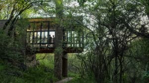 Home: casas innovadoras — foto 5