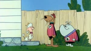 Episodio 77