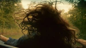 These Wild Things — foto 1
