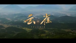 云雀 — foto 1